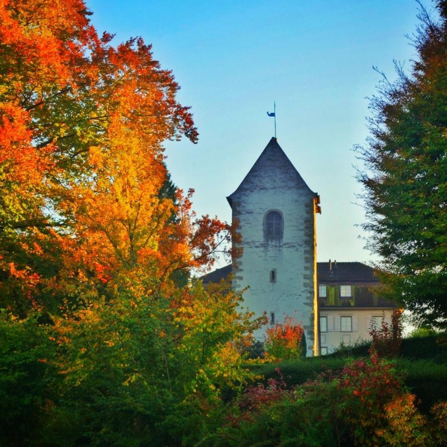 Lakelodge Romanshorn Zewnętrze zdjęcie