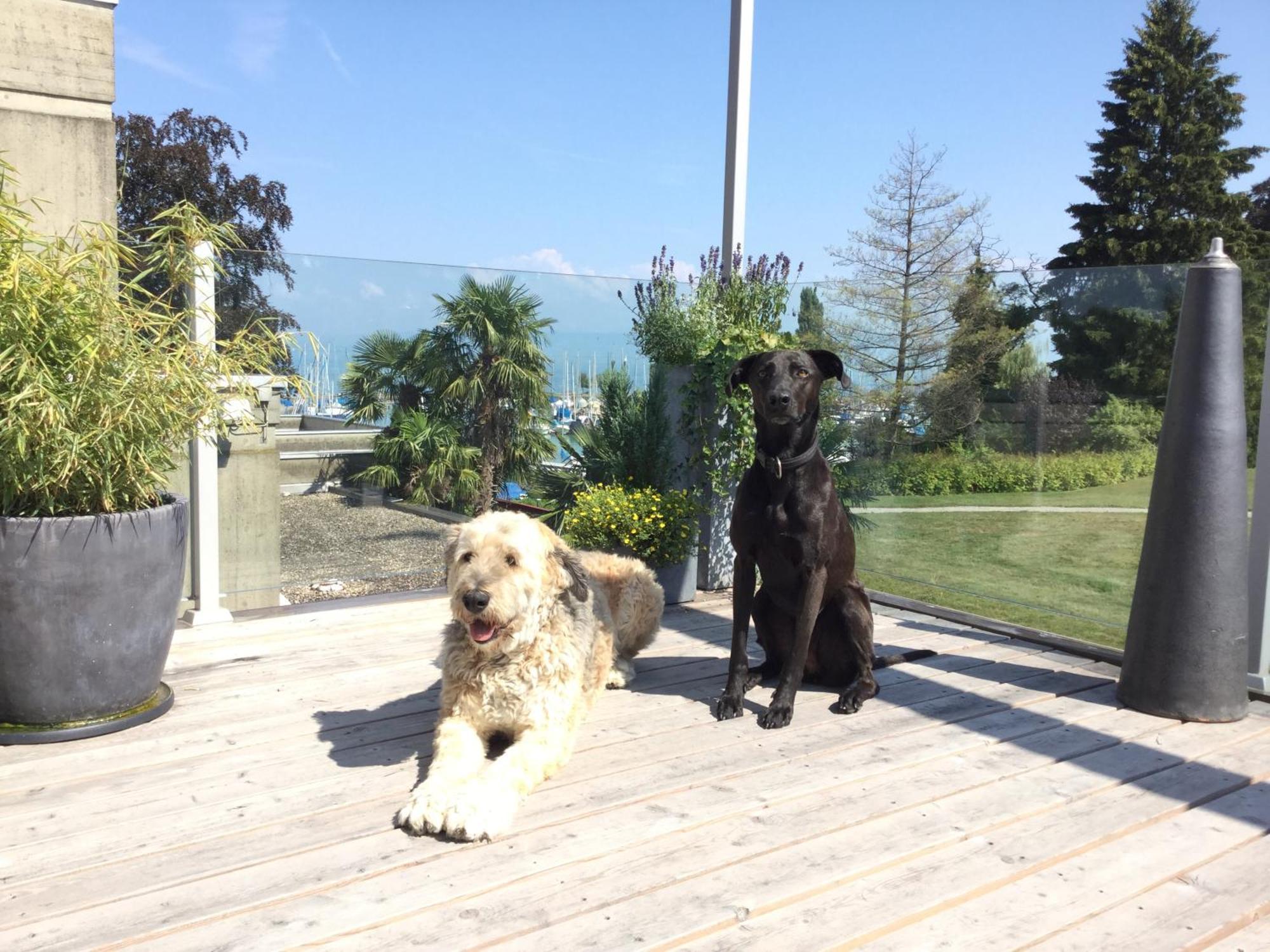 Lakelodge Romanshorn Zewnętrze zdjęcie