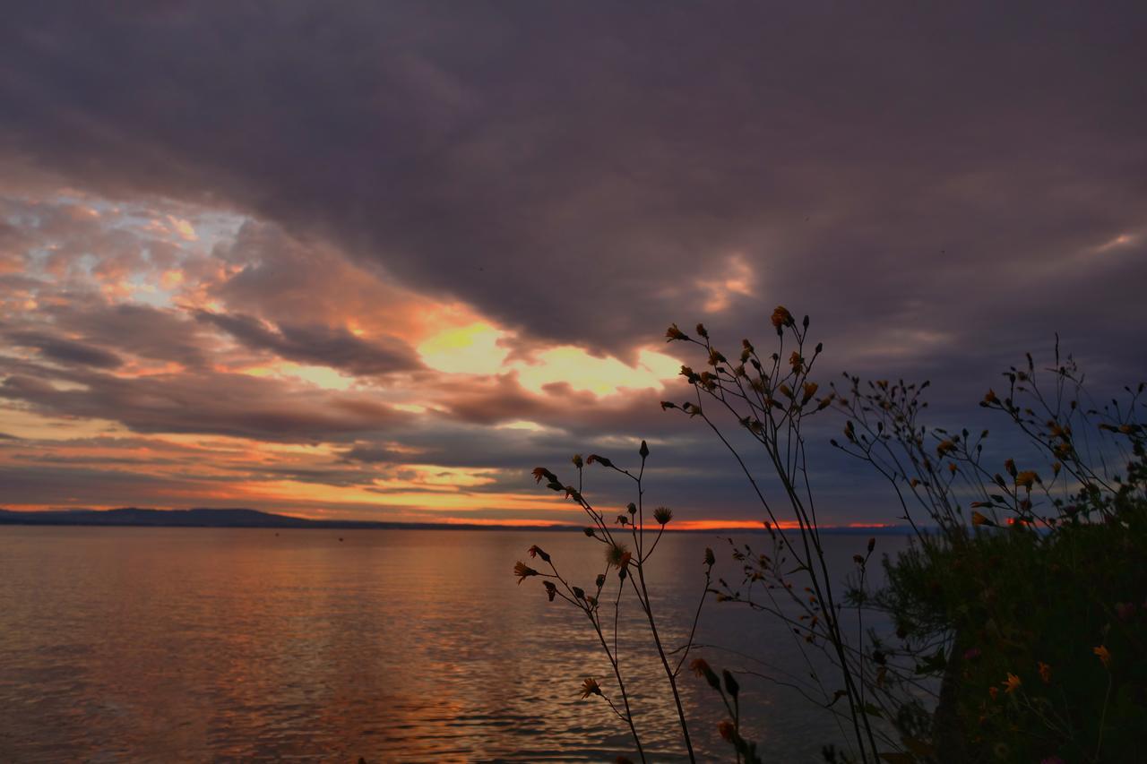 Lakelodge Romanshorn Zewnętrze zdjęcie